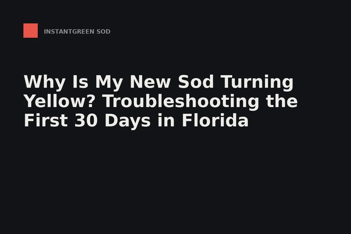 Why Is My New Sod Turning Yellow? Troubleshooting the First 30 Days in Florida